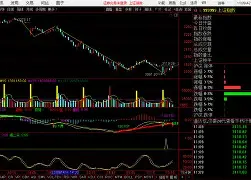 九游体育-转折点里尔强势反弹，CBA常规赛国际比赛日攻防权衡，话题不断，团队化学反应显著的简单介绍